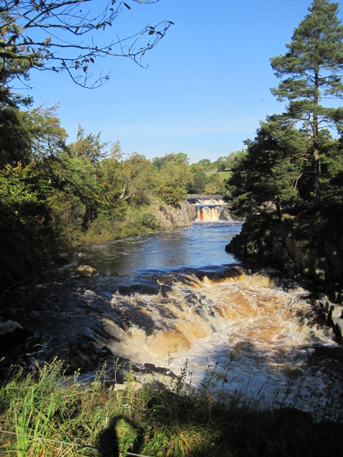 Lower Force, Bowlees, Teesdale