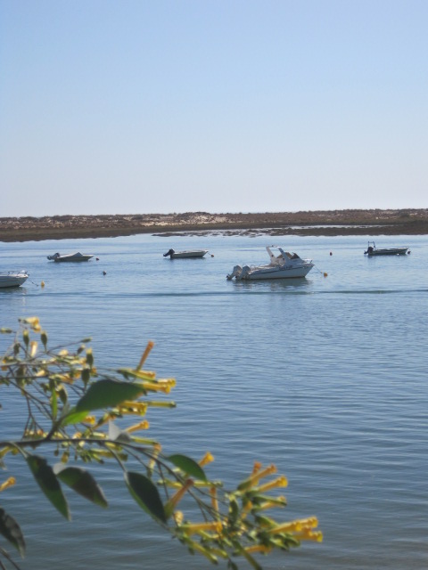 Ilha de Cabanas from the boardwalk