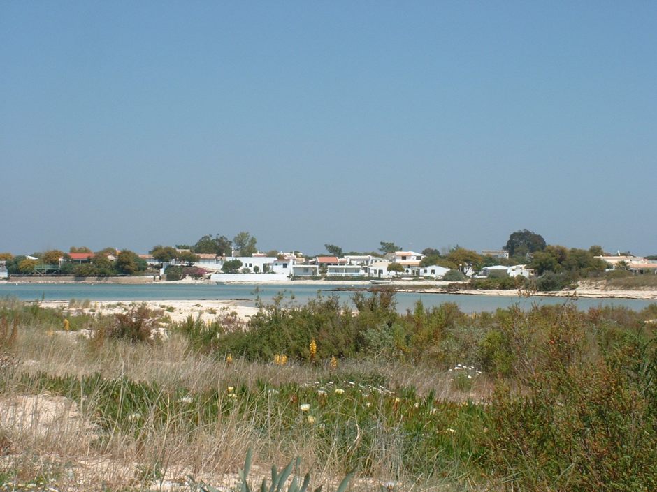 Armona beach houses