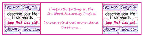 6ws-participating-in-banner