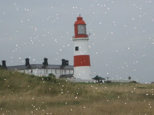 Snowy lighthouse