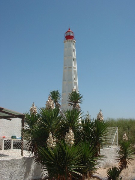 Farol, the iconic lighthouse on Culatra