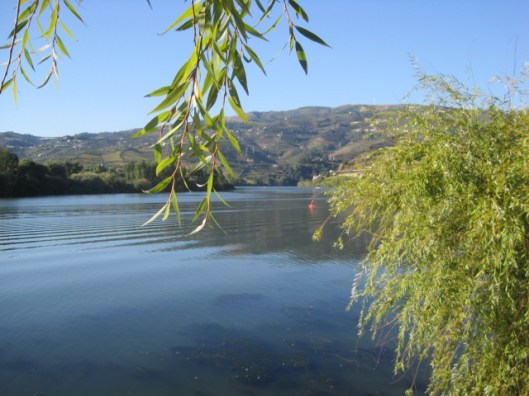 So many shots I have of that Douro