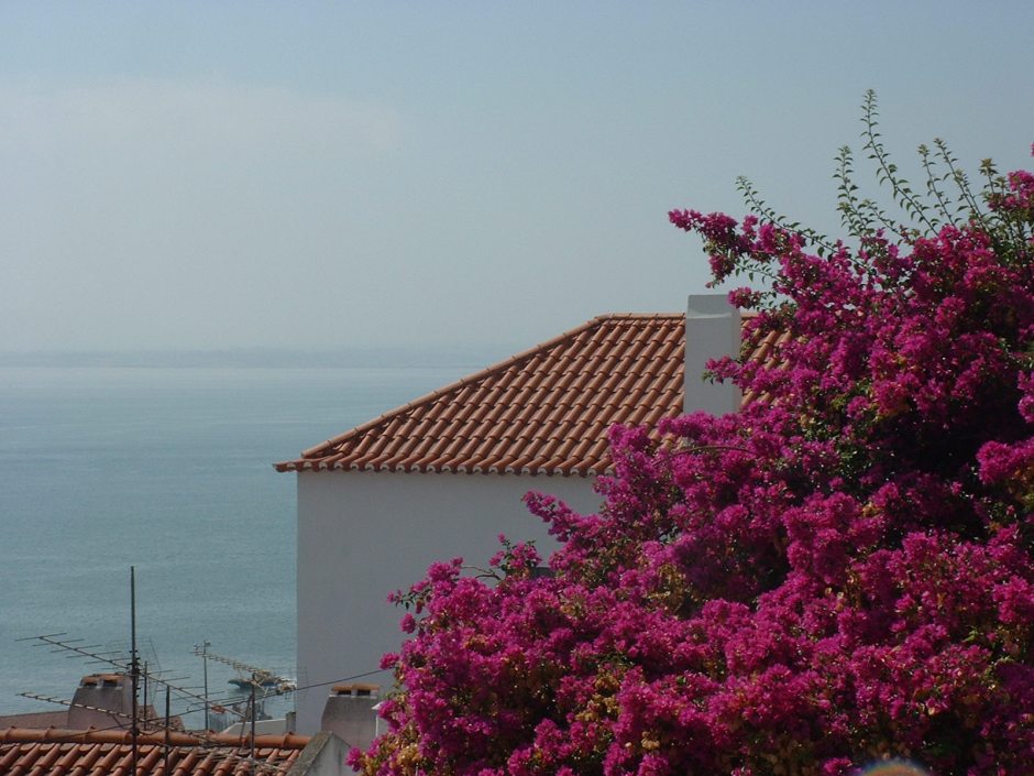 Looking over Lisbon rooftops to the River Tejo 