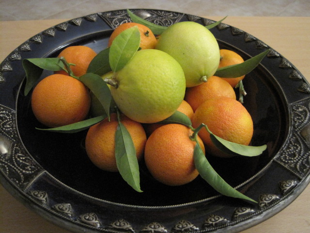 Mingling with the friendly oranges