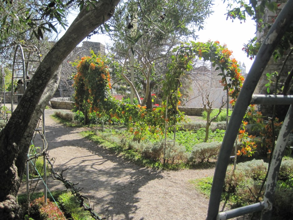 Some winter flowers in the castle gardens