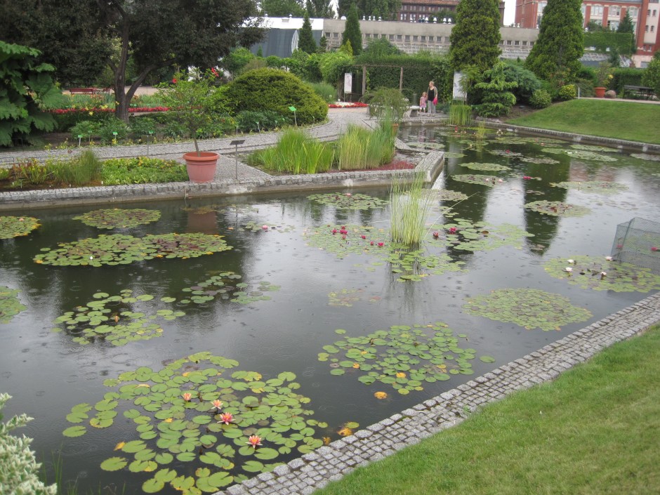 A little warm rain in the botanic gardens