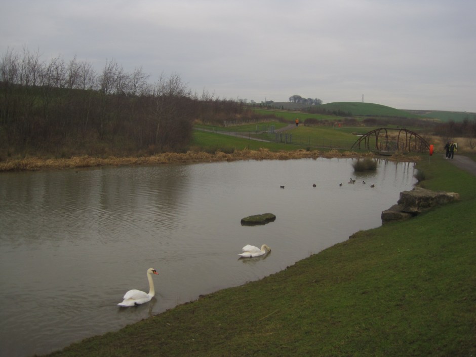 They weren't too impressed with me