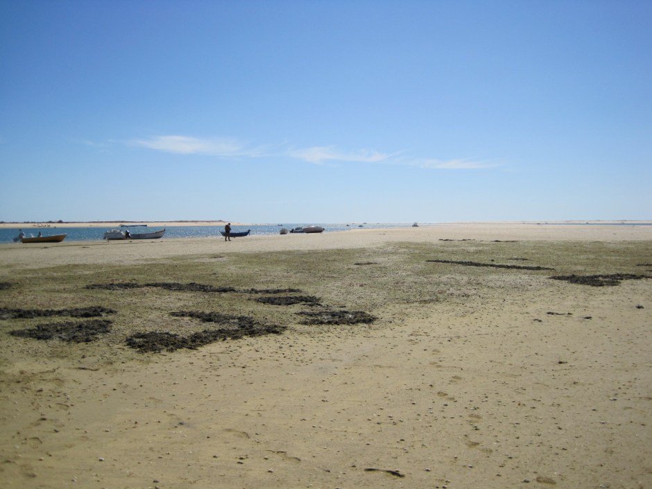 It's the strangest feeling when you're out there in the shallows, far from shore