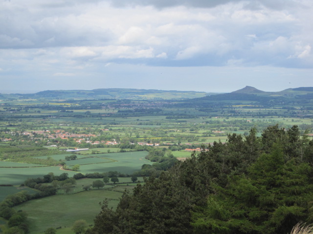 Looking out towards Roseberry Topping