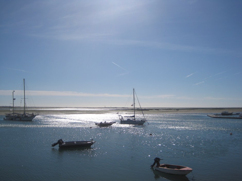 Every kind of craft comes idling home