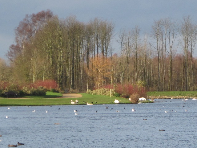 The birds will carry on, oblivious, till you rustle the bag