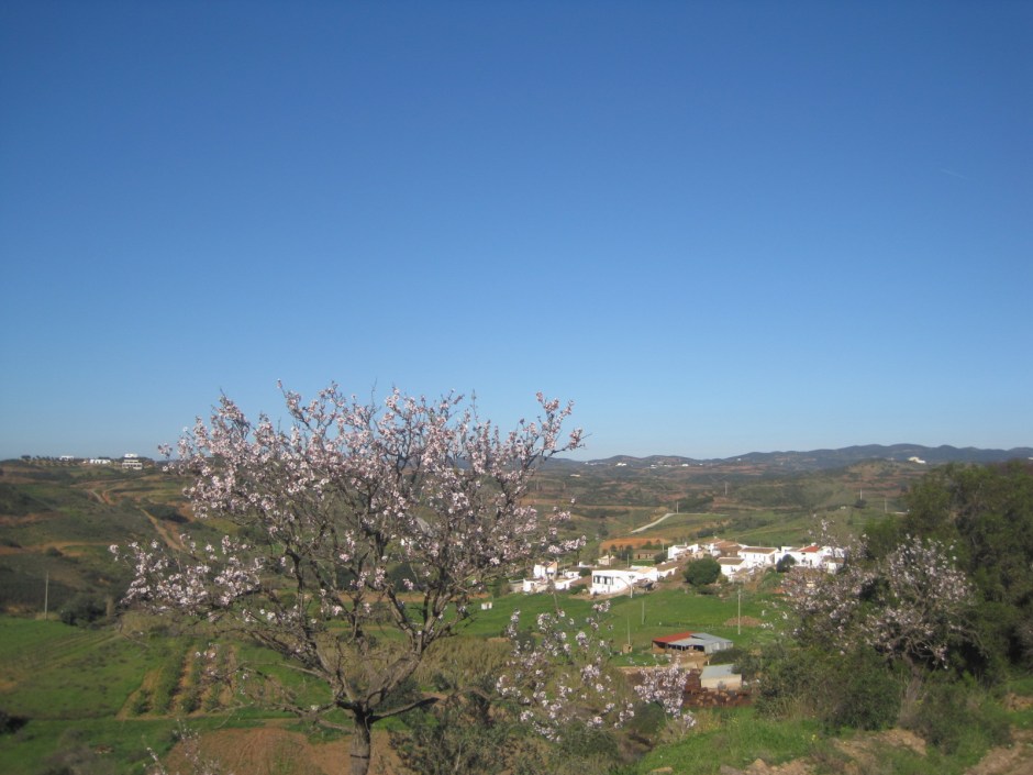 And then tiny Malhada do Peres, enhanced by the almond blossom