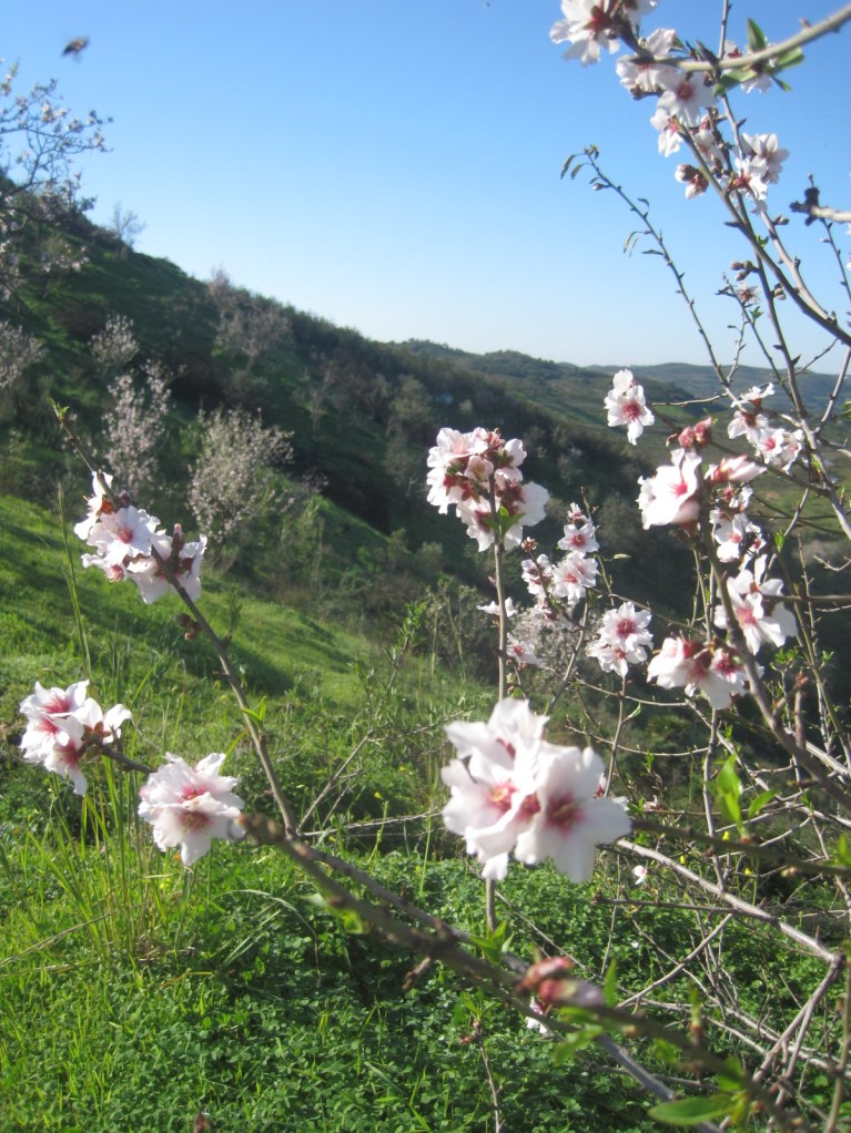 Beautiful in close-up