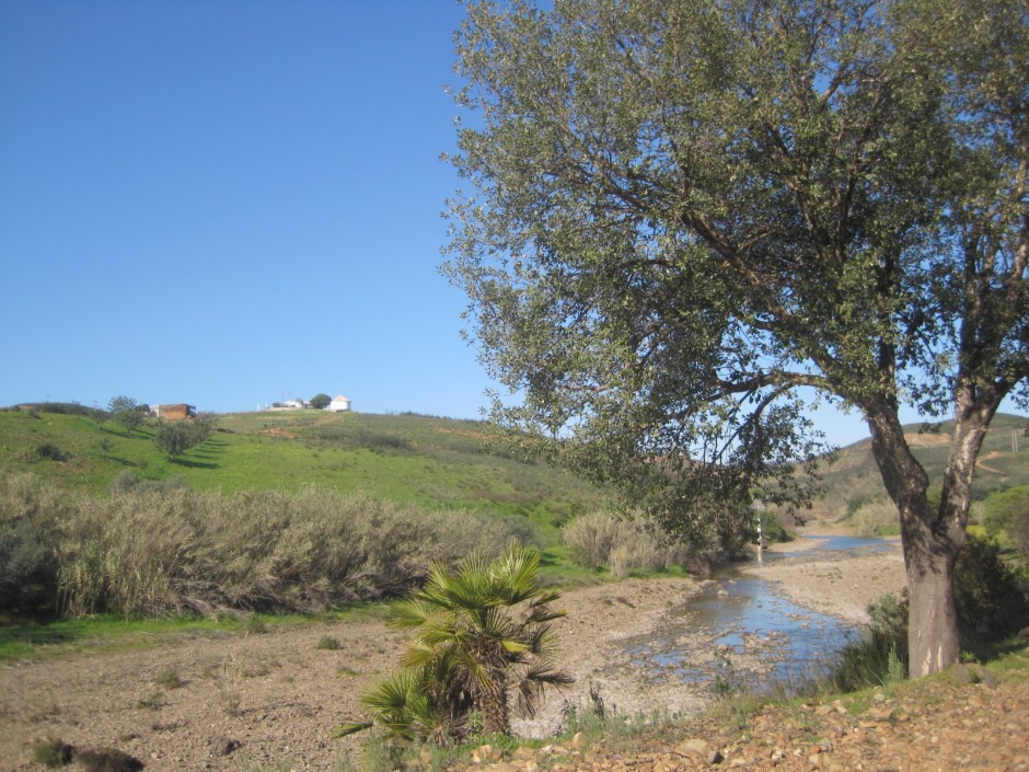 The river bed is pretty dry, even this early