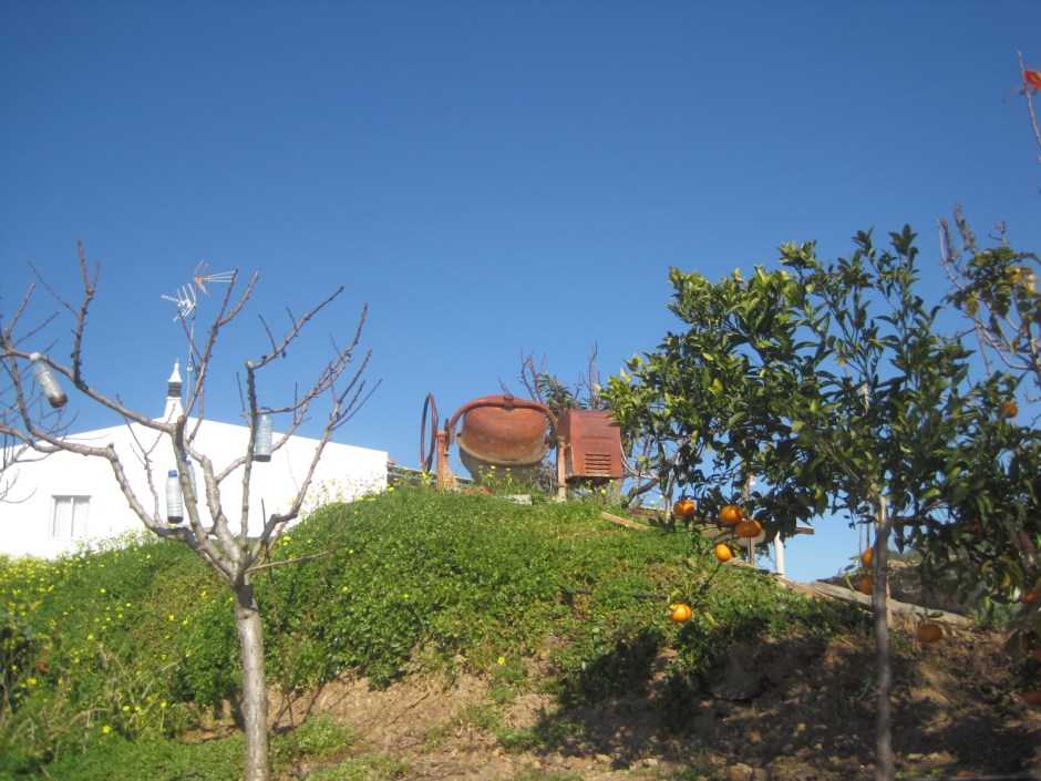 Obviously bird lovers here