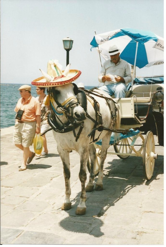 Did you ever see a more elegant creature?