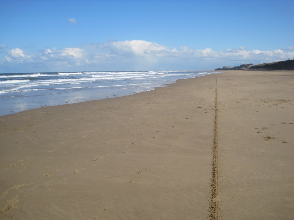 Somebody's been this way!