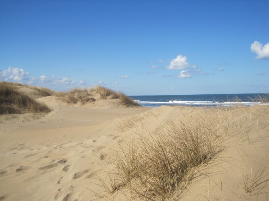 The dunes back of the beach