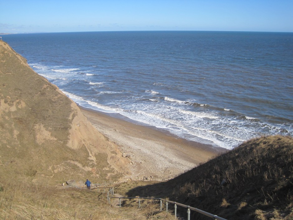 Not a good place to throw the stick for your dog