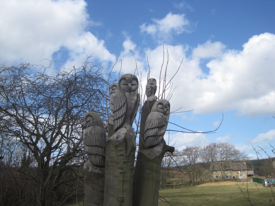 The owl family have simply dozed off!