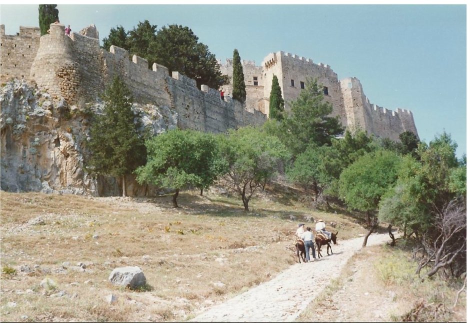 Donkeys!  No thank you- we'll struggle up under our own steam.