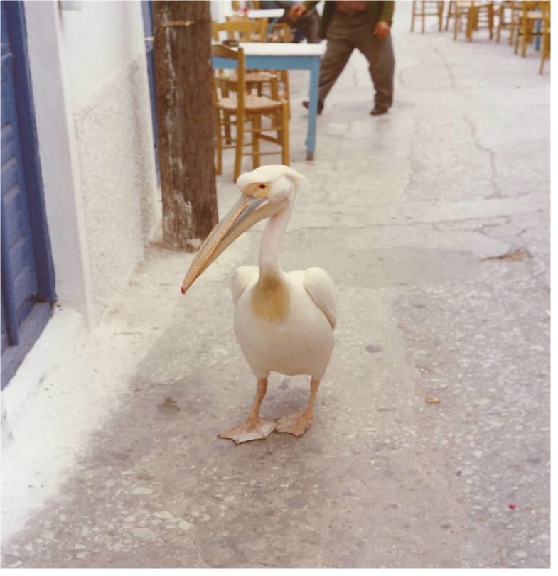 Pelican crossing