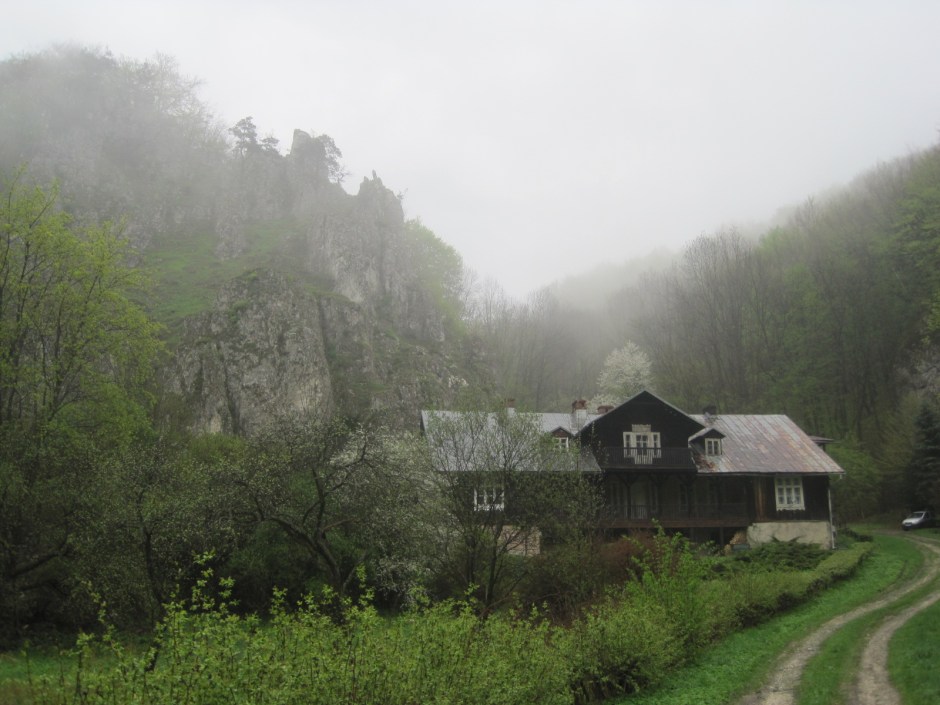 A typical village house