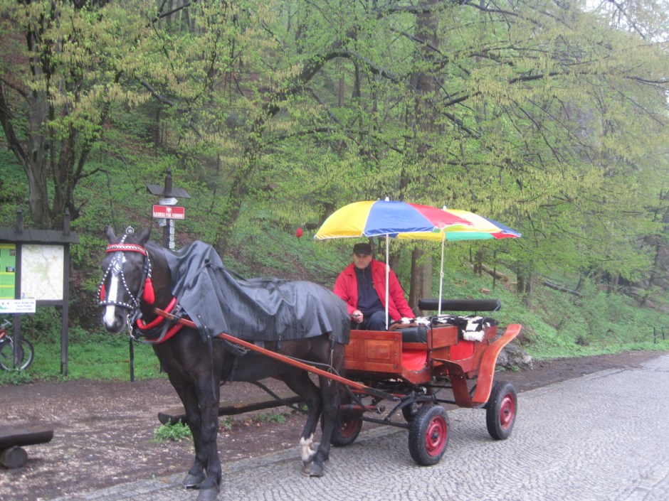 A "not so friendly" horse