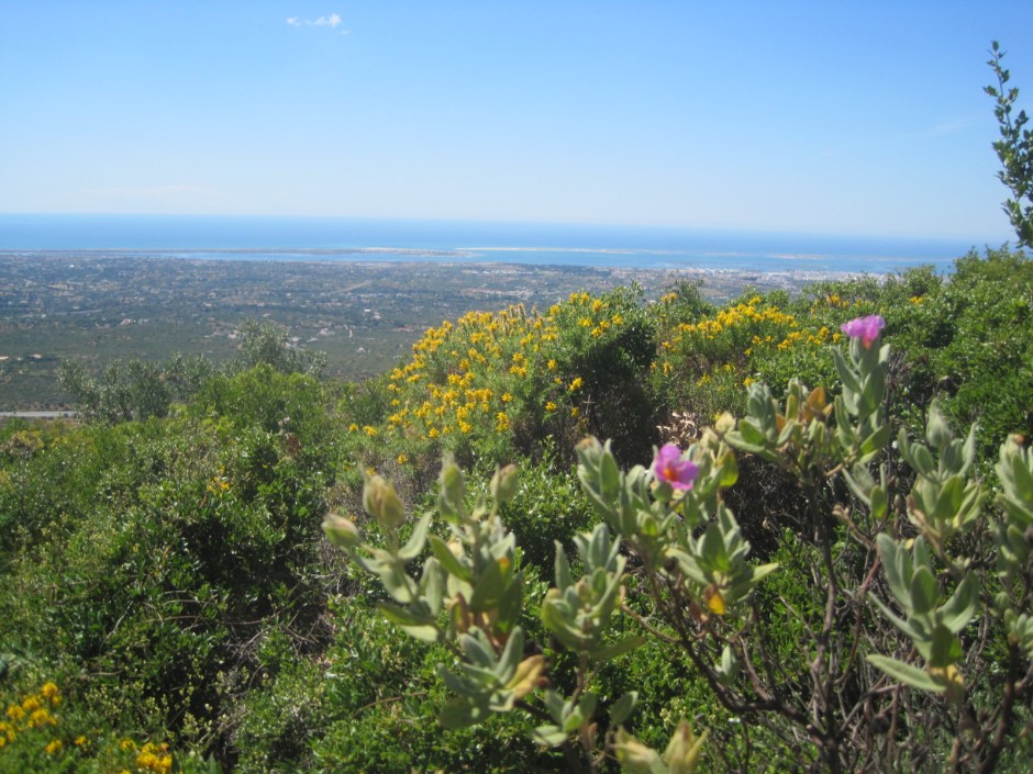 And this was the final view