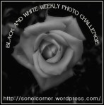 bwphotochallenge-logo-sn