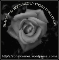 bwphotochallenge-logo-sn