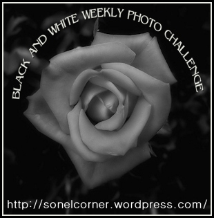 bwphotochallenge-logo-sn