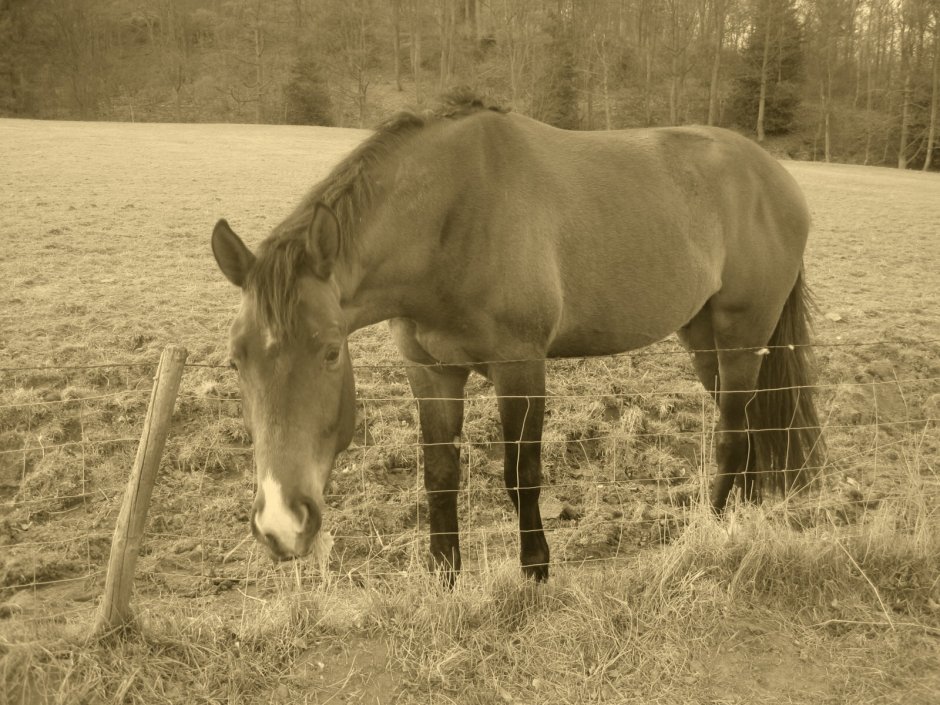 This one's for Sonel