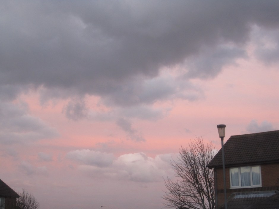 This looks through the conservatory into the garden