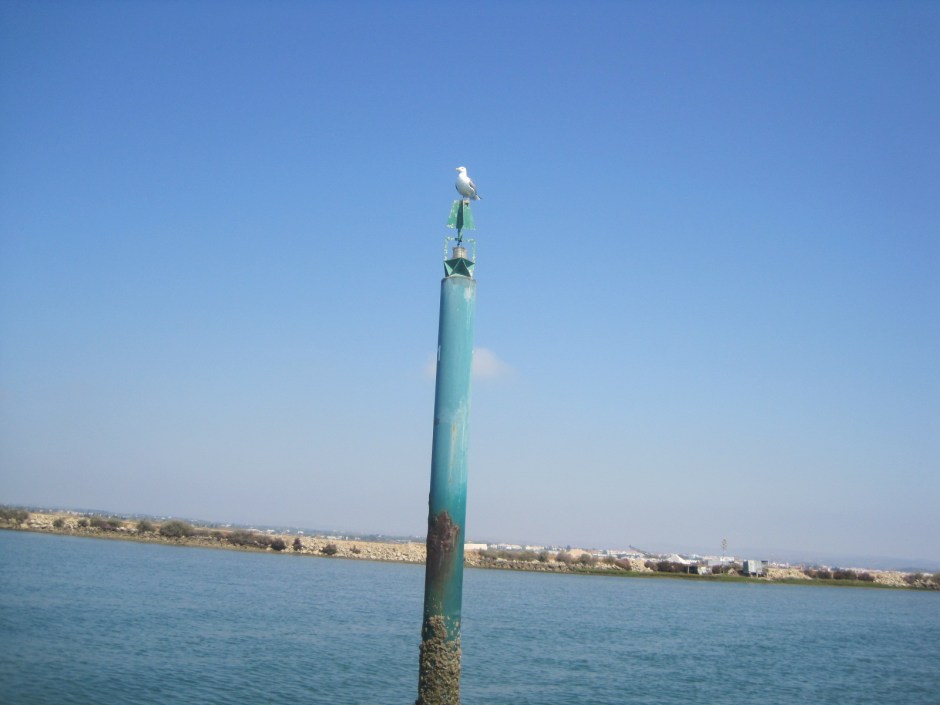 Wasn't there a "Tilted" challenge out there somewhere?