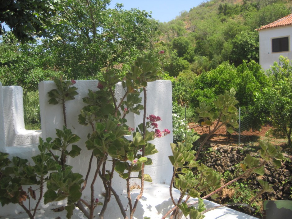 Who says the Algarve isn't green?