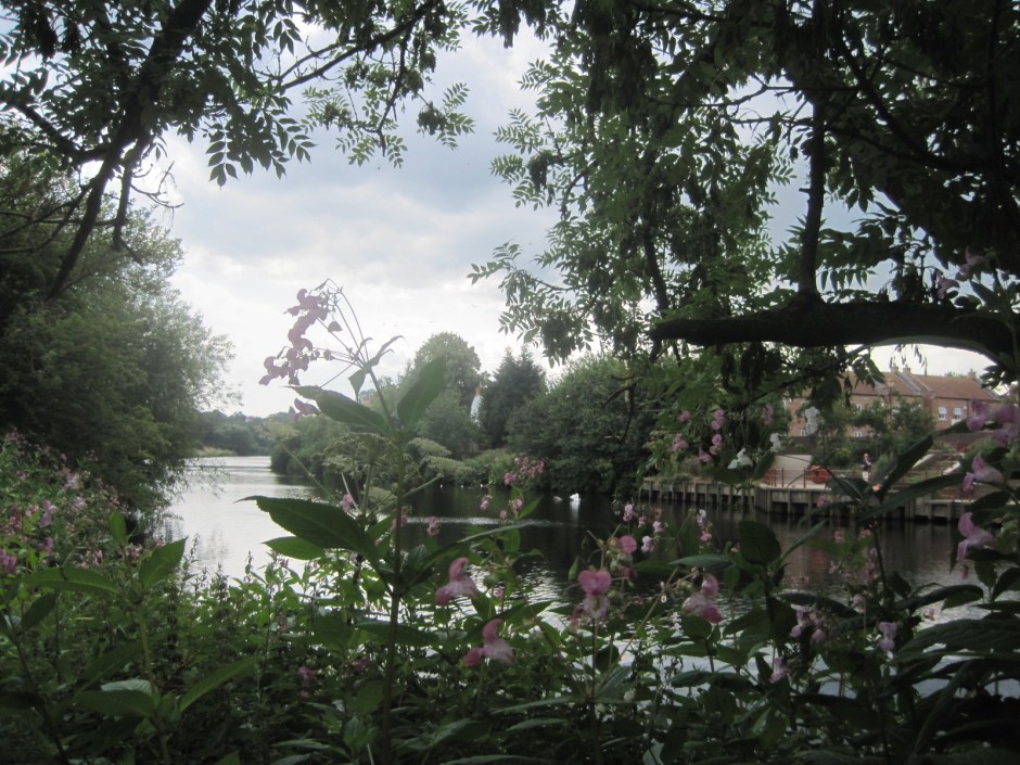 The river bank at Yarm, North Yorkshire