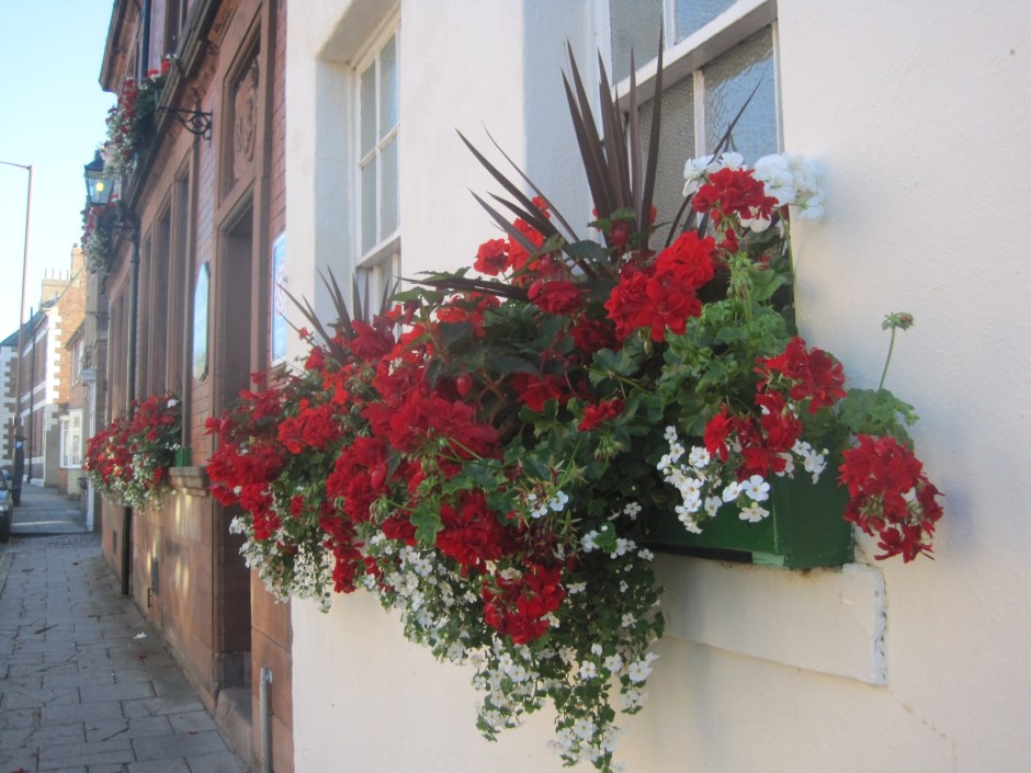 Window box outside the Queen Victoria pub in Durham