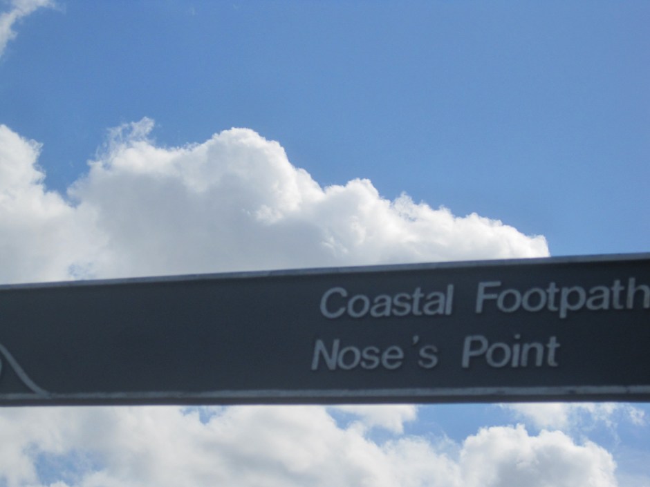 Don't you love a coastal footpath?