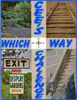 Which-Way-Banner1