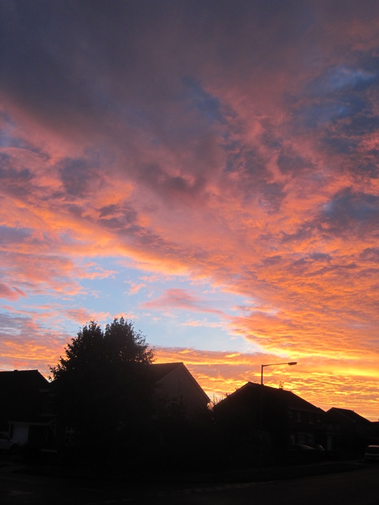 Or the drama of this one?