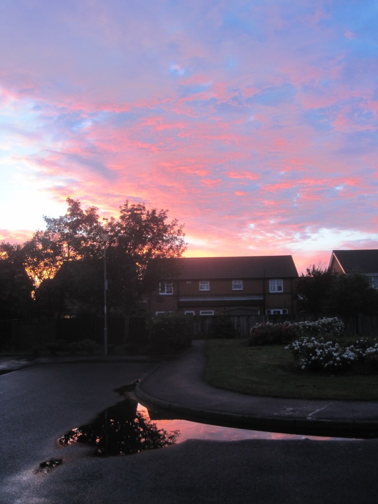 Do you like this one, reflected in the puddle?