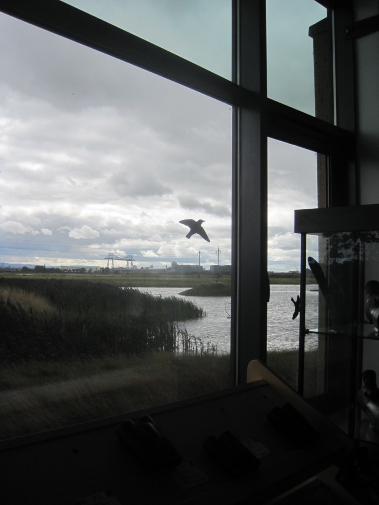 The view out across the lake