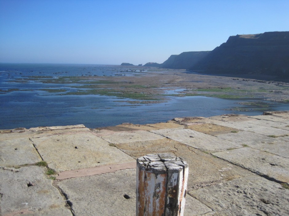 That's Saltwick Nab in the distance.