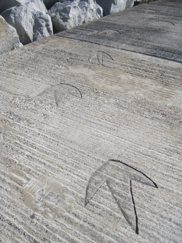 Or what about some "dinosaur's feet"?