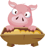 "Javali" or wild boar