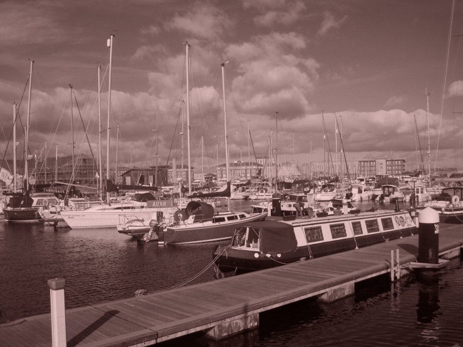 The marina transformed!