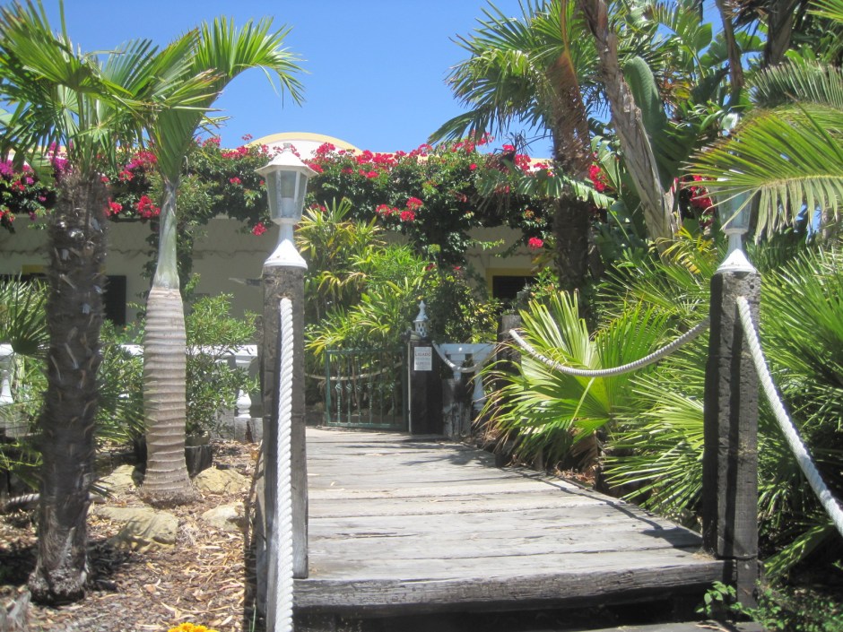 I might go for this tropical look