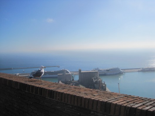 I had to share this view with a seagull.